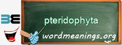 WordMeaning blackboard for pteridophyta